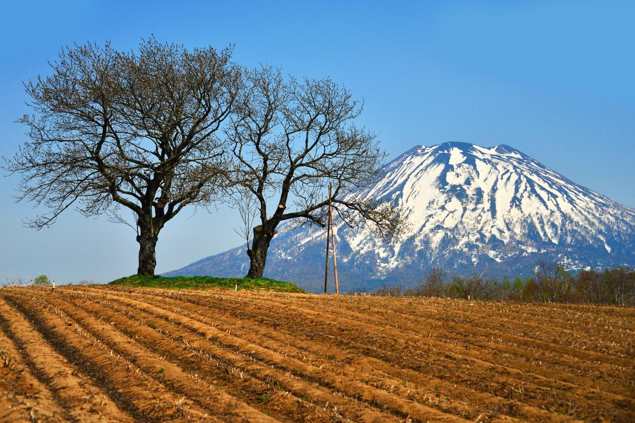 Hotel Niseko Alpen Kutchan Dış mekan fotoğraf